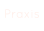 Praxis