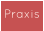 Praxis